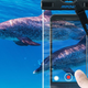 Mpow Smartphone Dry Bag, $5 with code KUKGRFA6 | 3-Pack, $11 with code RADMLMIE
